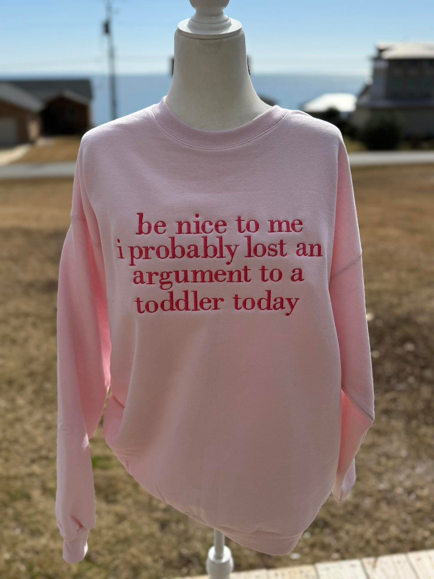 Be nice to me I probably lost an argument to a toddler today